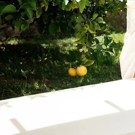 Villa Sea View With Private Garden And Terrace - Walk To